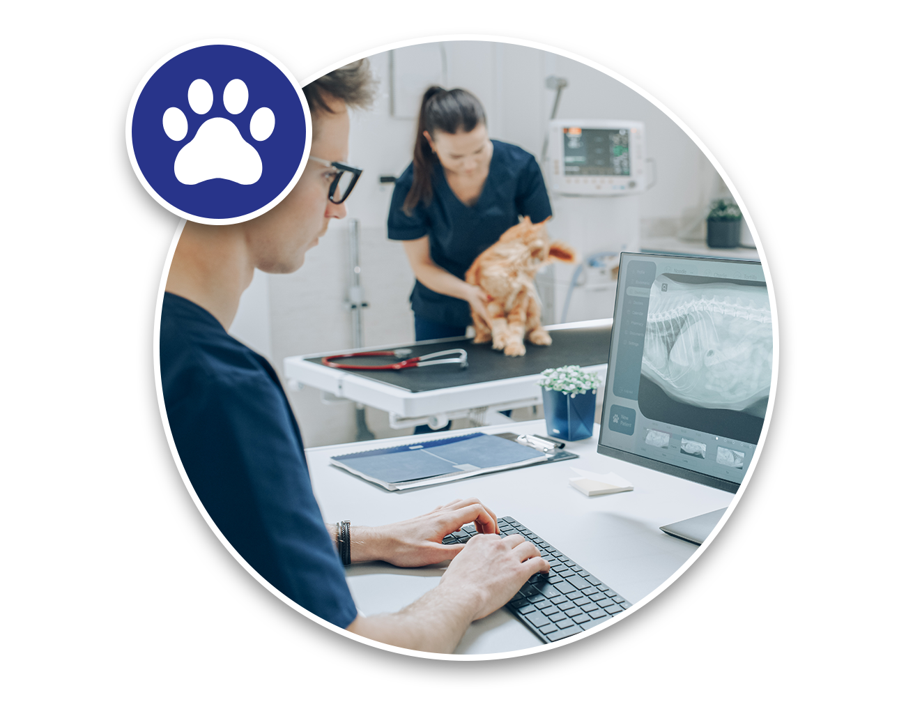 Veterinary